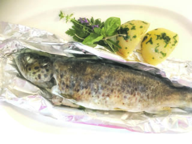 In vielen Familien gehört Fisch als Weihnachtsmenü zur Tradition. Wir stellen ein dreigängiges Menü vor. | Foto: Sabine Grünberger