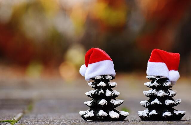 Christbäume gelten als universelles Weihnachtssymbol