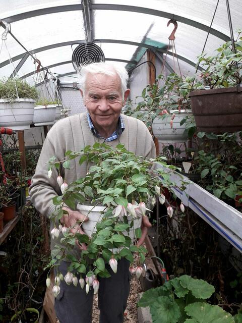 Günther Nicola aus Hainfeld liebt es Fuchsien (siehe Foto) zu züchten. Deshalb wünscht er sich unter anderem ein gutes Blumenjahr. | Foto: Nicola