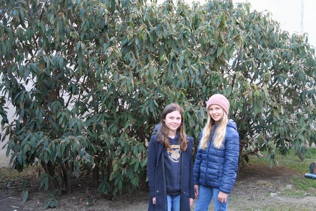 Leni und Lisa im alten Rosaspark. Die beiden regten mir ihren Ideen den Umbau an.