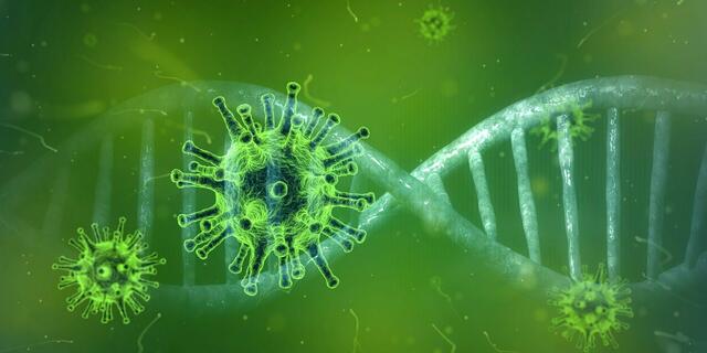 Genesene sollten ein ärztliches Zeugnis mitführen, in dem bestätigt ist, dass sie in den letzten 90 Tagen mit dem Coronavirus infiziert waren. | Foto: Pixabay
