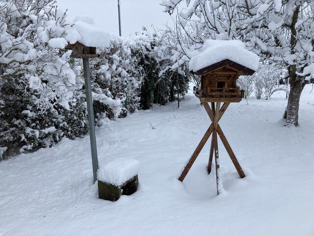 Winterliche Vogelhäuschen