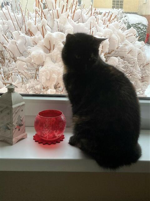 ... sie will derzeit nicht hinaus - verständlich...