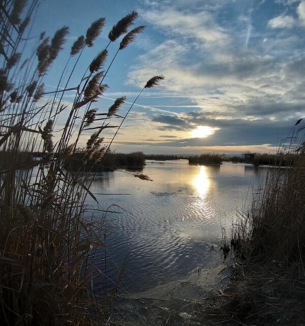 Illmitz Nationalpark,Neusiedlersee 
@renatahfotografie 