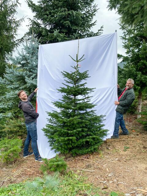 Im Dezember stand auf www.meinbestesvomhof.com der Christbaumverkauf im Vordergrund. Lindner hilft mit der Plattform Direktvermarktern.  | Foto: Lindner