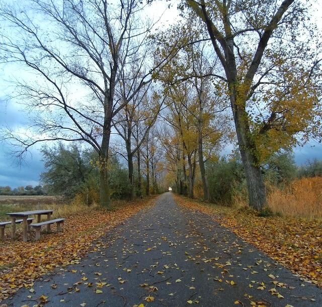 Spaziergang ,
Podersdorf am See ,Burgenland 
@renatahfotografie 