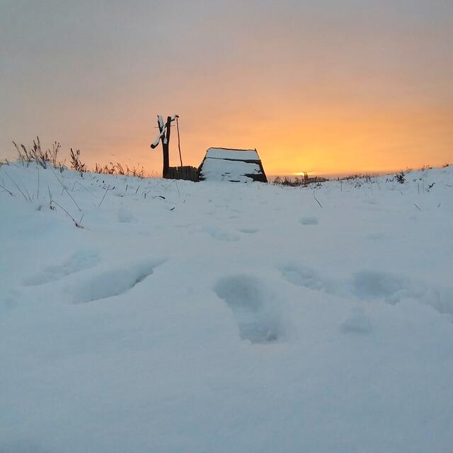 Sonnenuntergang 11.12.2021
Darscho Apetlon Burgenland 
@renatahfotografie 