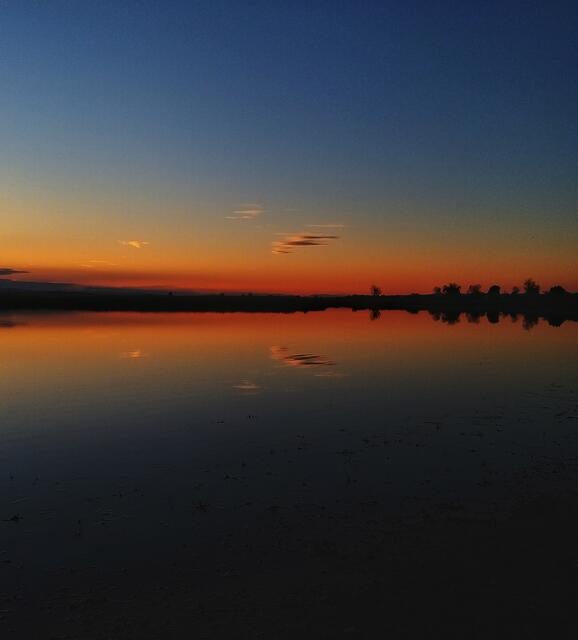Darscho- Apetlon- Burgenland 
@renatahfotografie 