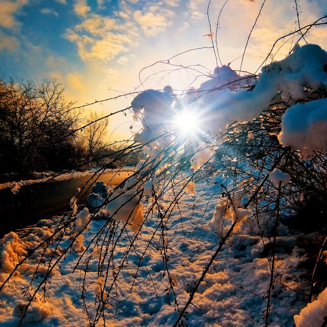 Illmitz Burgenland 
@renatahfotografie 