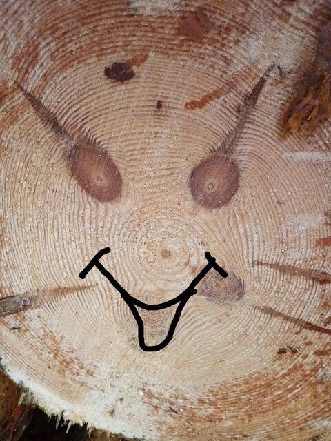 Ich wünsche euch ein schönes Wochenende - der Baumgeist lässt euch auch ganz lieb grüßen