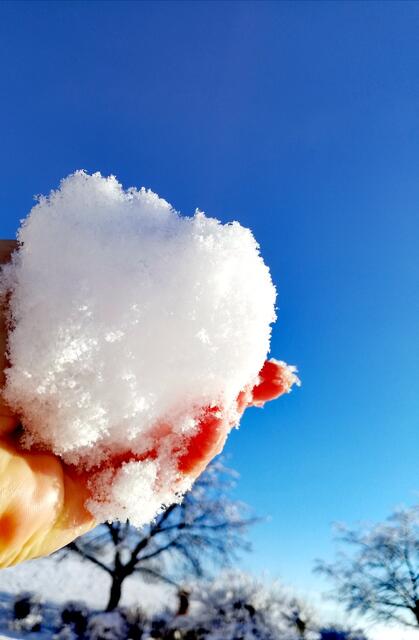 ..  | Foto: Elisabeth Paukovitsch