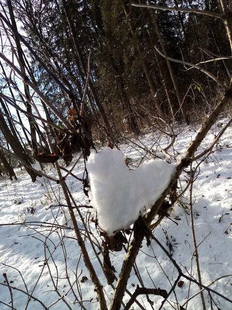 zum Beitrag Das Herz hat nur etwas gebraucht, um besser sichtbar zu sein