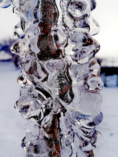 Nr. 2 | Foto: Elisabeth Paukovitsch