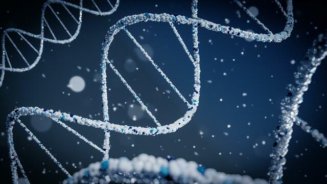 DNA und Messenger RNA (kurz mRNA) haben unterschiedliche Aufgaben.  | Foto: Symbolbild: Unsplash
