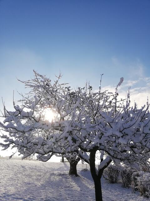 Kommt gesund und munter durch den Tag!  | Foto: Elisabeth Paukovitsch