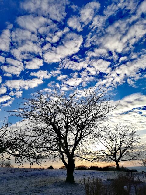 ... am Himmel.  | Foto: Elisabeth Paukovitsch