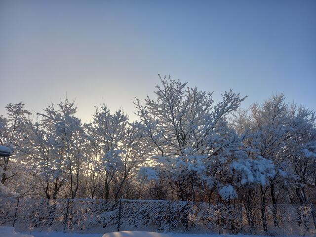 Winterlandschaft mit aufgehender Sonne im Hintergrund.