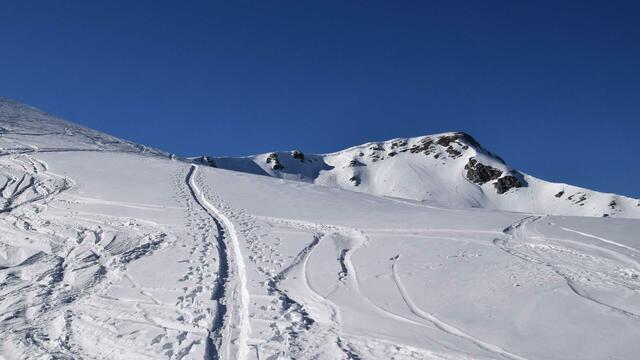 Foto: almenrausch.at