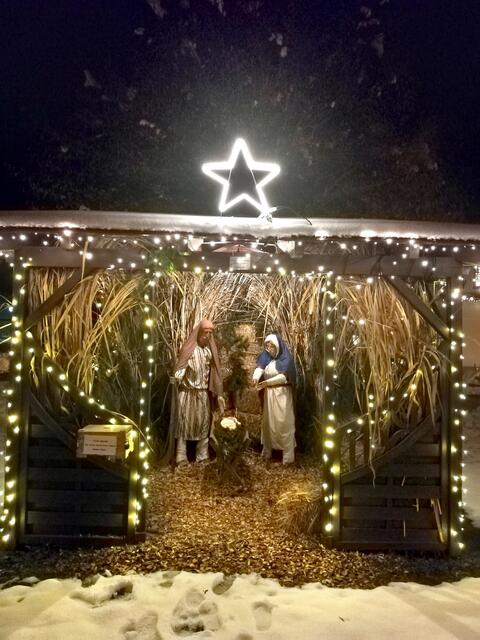Lebensgroße Krippenfiguren stehen in der Weihnachtskrippe von Deutsch Minihof (südl. Bgld.). Alljährlich zur Adventszeit wird das,, Waaghäusl"vom Stammtisch Chaos mit viel Engagement dafür umgestaltet. Der Erlös bei stattfindender Eröffnungsfeier führen sie karitativen Zwecken zu.  | Foto: Elisabeth Paukovitsch