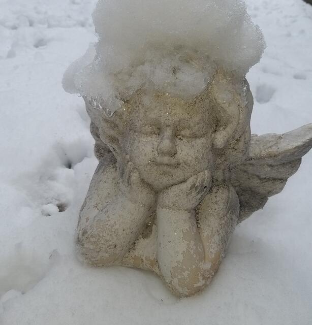 @renatahfotografie 🙏❤🤗🌲