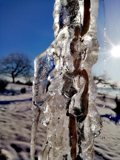 Nr. 1 | Foto: Elisabeth Paukovitsch