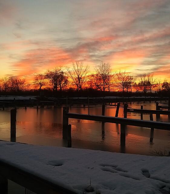 Illmitz, Burgenland 
@renatahfotografie 