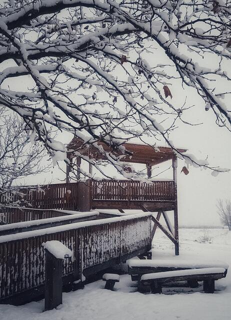 Illmitz, Nationalpark,Neusiedlersee Burgenland 
@renatahfotografie 
