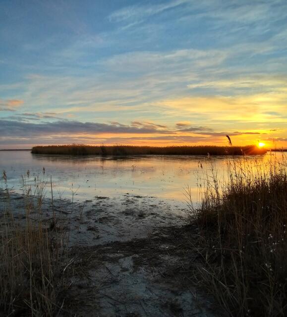 Sonnenuntergang Darscho Apetlon Burgenland 
21.12.2021
@renatahfotografie 