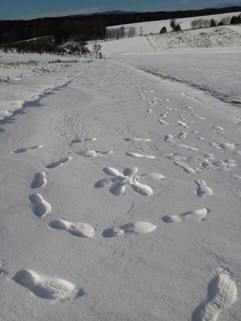 zum Beitrag Wir alle hinterlassen Spuren
