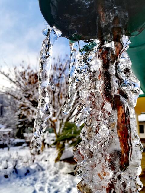 Nr. 1 | Foto: Elisabeth Paukovitsch