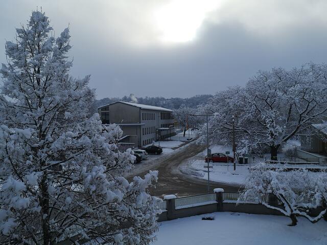 Blick auf die Lutzmannsburger Volksschule 