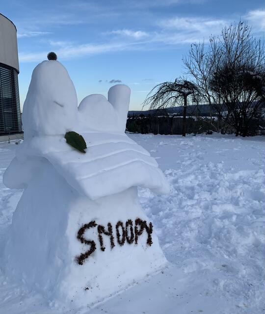Verdientes Mittagsschläfchen nach dem Schneeschaufeln in Holzschlag… | Foto: Iris Sauer
