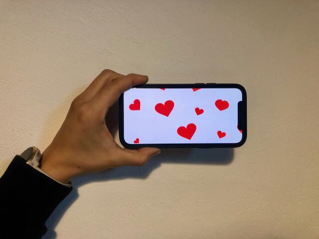 Eine Pinzgauerin fiel auf einen "Love-Scam"-Betrug hinein. Sie bezahlte ihrem vermeintlichen Partner mehrere tausende Euro. | Foto: Johanna Grießer/www.ClipartsFree.de