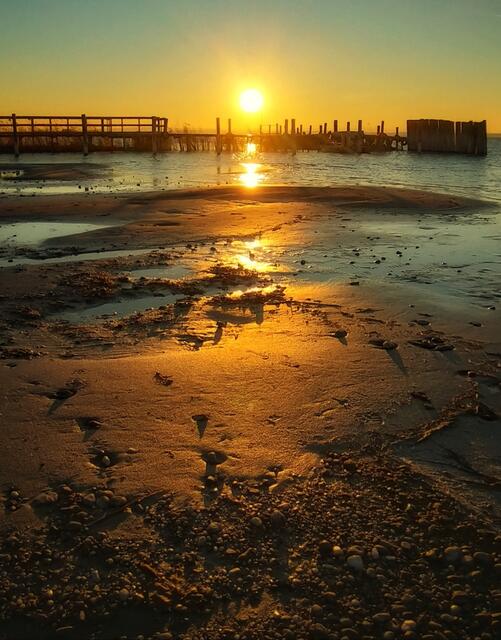 Podersdorfamsee Burgenland 
@renatahfotografie 