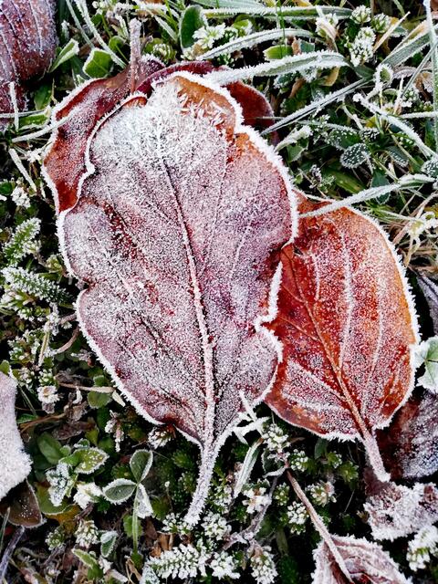... unberührter Fund.  | Foto: Elisabeth Paukovitsch