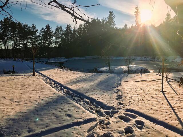 Miesenbachost | Foto: Karl Maderbacher