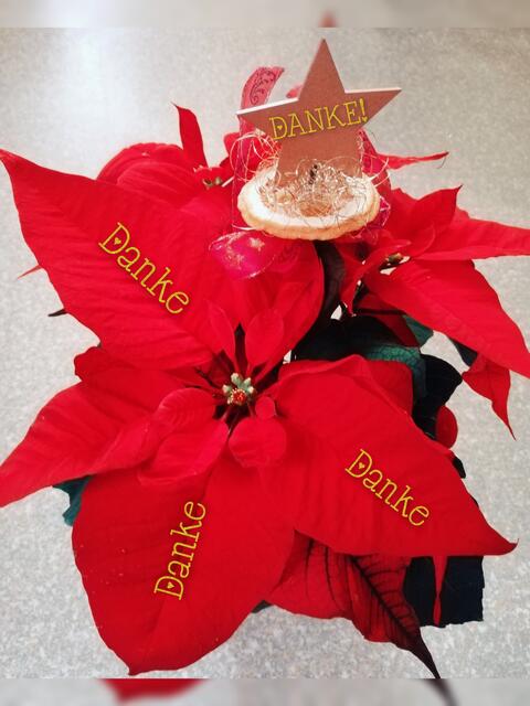 ... an die lieben Regionauten:innen für die Kommentare oder Bemerkungen.
... für all eure tollen Bilder
... an meine Leser:innen und an die Redaktion.

DANKE!  | Foto: Elisabeth Paukovitsch