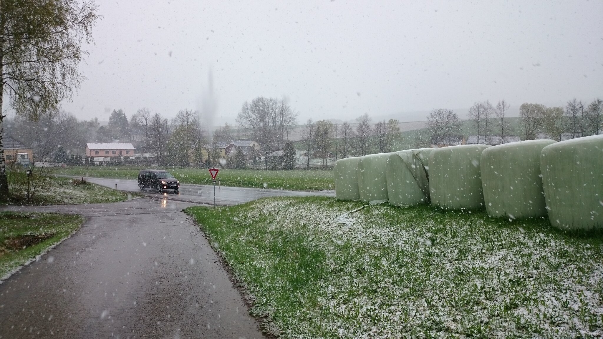 Niesel Schneegriesel, Niesel oder Regen: So wird das Wetter heute im ...