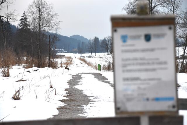 Der Fund eines geschützten Edelkrebses stoppte vor rund einem Jahr das Projekt.  | Foto: Barbara Fluckinger