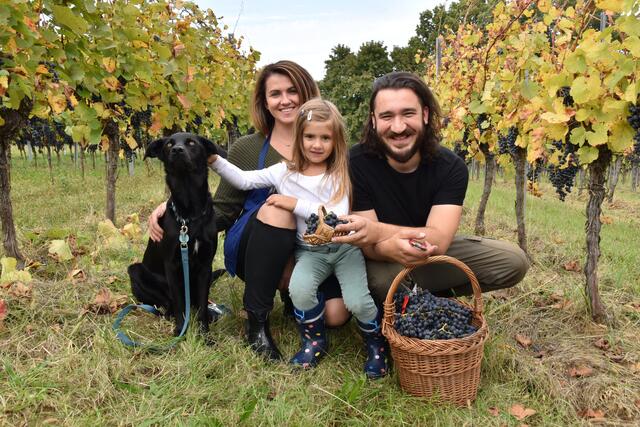 Der Wein wird heuer top! | Foto: Michael Strini