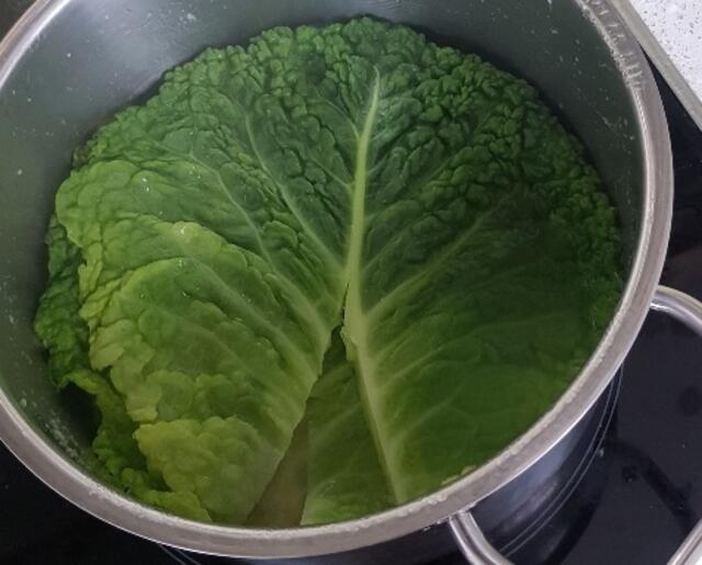 Große Blätter blanchiert