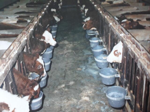 Foto: aus: Das Tierbuch von Eva Kroth