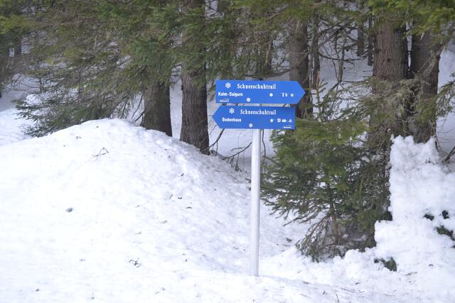 Neben der Straße gibt's auch Schneeschuhtrails hinauf