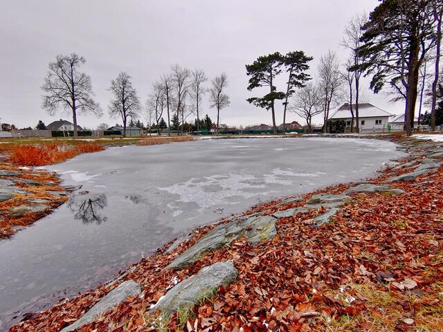 Teich in Winterruhe 
im "Wilden Park" Rechnitz | Foto: Marina Kelemen