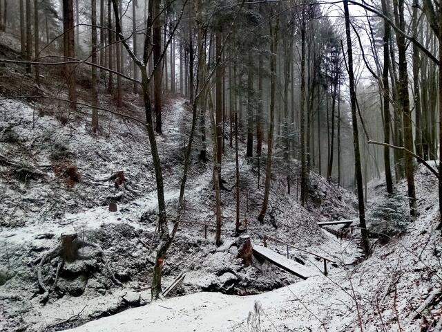 Ein Graben, der zu jeder Jahreszeit schön ist
zum Beitrag