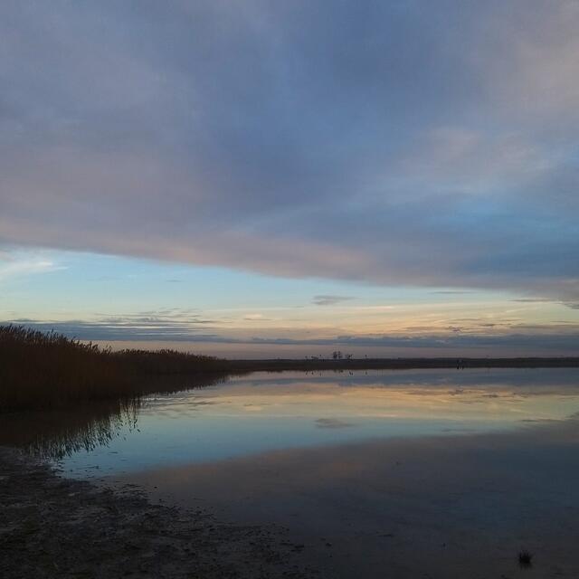 Darscho Apetlon Burgenland 
31.12.2021
@renatahfotografie 