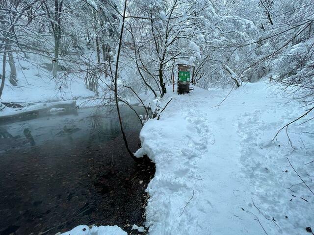 Es ist ein idyllisches Bild, das sich den Besuchern bietet | Foto: meinBezirk.at