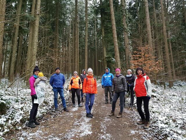 Das Walking Team der Bezirksbauernkammer Kirchdorf-Steyr walkte im Hallerwald für den BezirksRundSchau Christkindlauf.  | Foto: BBK