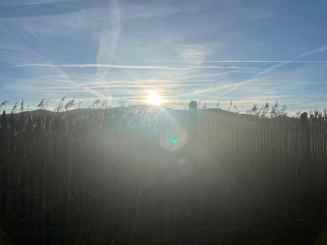 80 bis 90 Prozent des Tagesbedarfs an Vitamin D werden unter dem Einfluss von Sonnenlicht über die Haut gebildet. Dazu sollte man täglich zwischen fünf und 25 Minuten an der Sonne verbringen. Auch in einigen Nahrungsmitteln, wie Lachs, Eigelb oder Champignons findet sich Vitamin D.