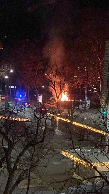 Die Christbaumsammelstelle im Stadtpark brannte lichterloh